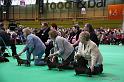 Crufts2011_2 1399